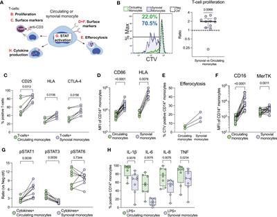 Synovial monocytes contribute to chronic inflammation in childhood-onset arthritis via IL-6/STAT signalling and cell-cell interactions